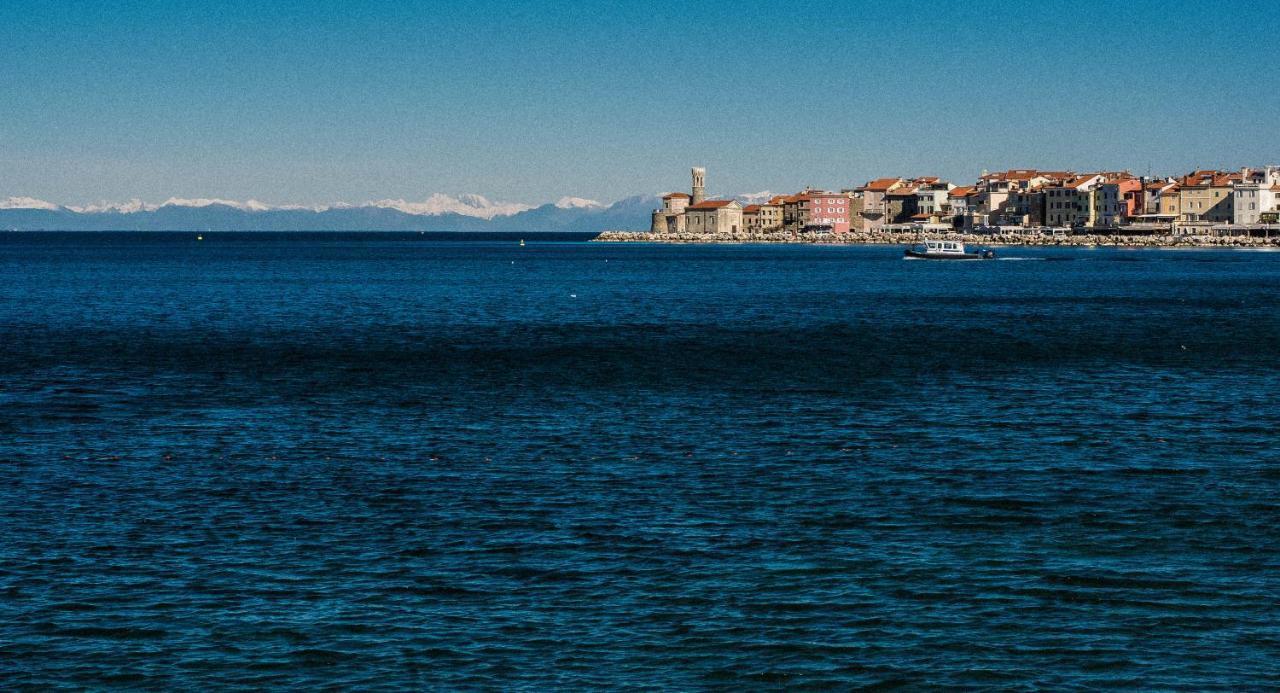 Apartment Alex Piran Dış mekan fotoğraf